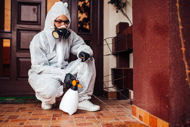 Attic and Crawl Space Rodent Treatment in Malabar
